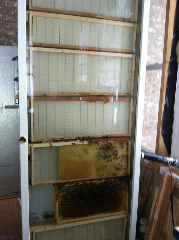 泛亚电竞：世界足球先生，我为什么选莱万？