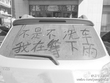 泛亚电竞平台-车前子的功效与作用